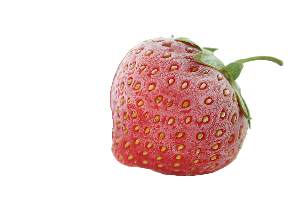 Frozen strawberry